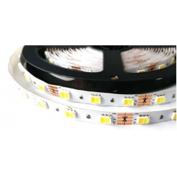 Room LEDs tape - SMD 5050 300 LEDs / 5m - CCT - IP65